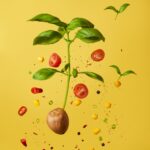 Floating composition of a small potato with a basil plant sprouting from it, surrounded by levitating sliced cherry tomatoes, corn kernels, chili pepper slices, black peppercorns, and green herbs against a bright yellow background. The image has a playful and fresh food concept.